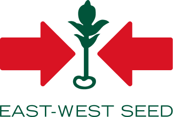 East West